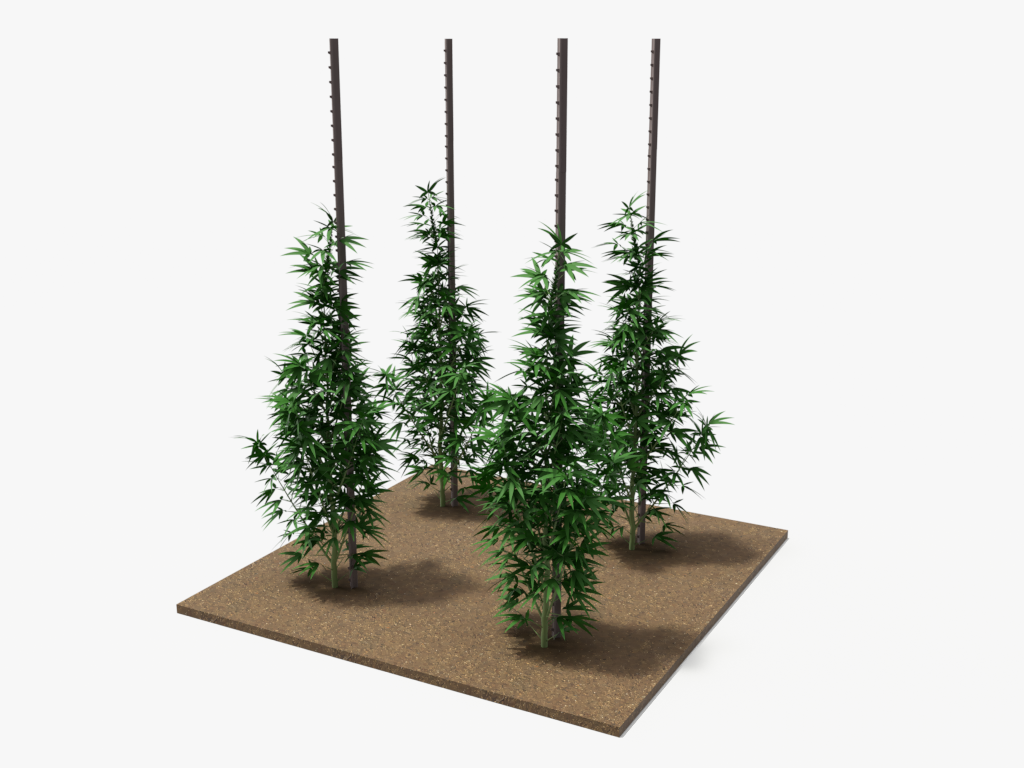 Showing 3-D diagrams of T Posts as cannabis guide stakes